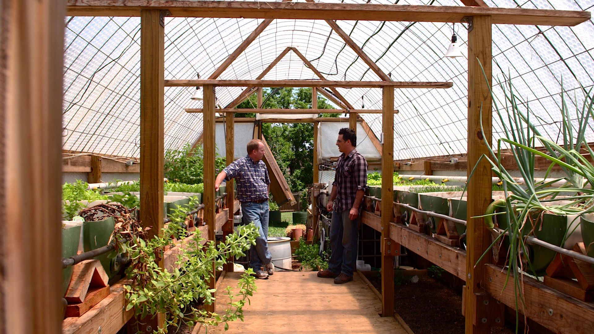 I wouldn't recommend trying to be a "prepper" - but you can help grow your local community and ease your carbon footprint by growing your own food. Locally-grown produce reduces shipping costs, helping to keep food prices low.