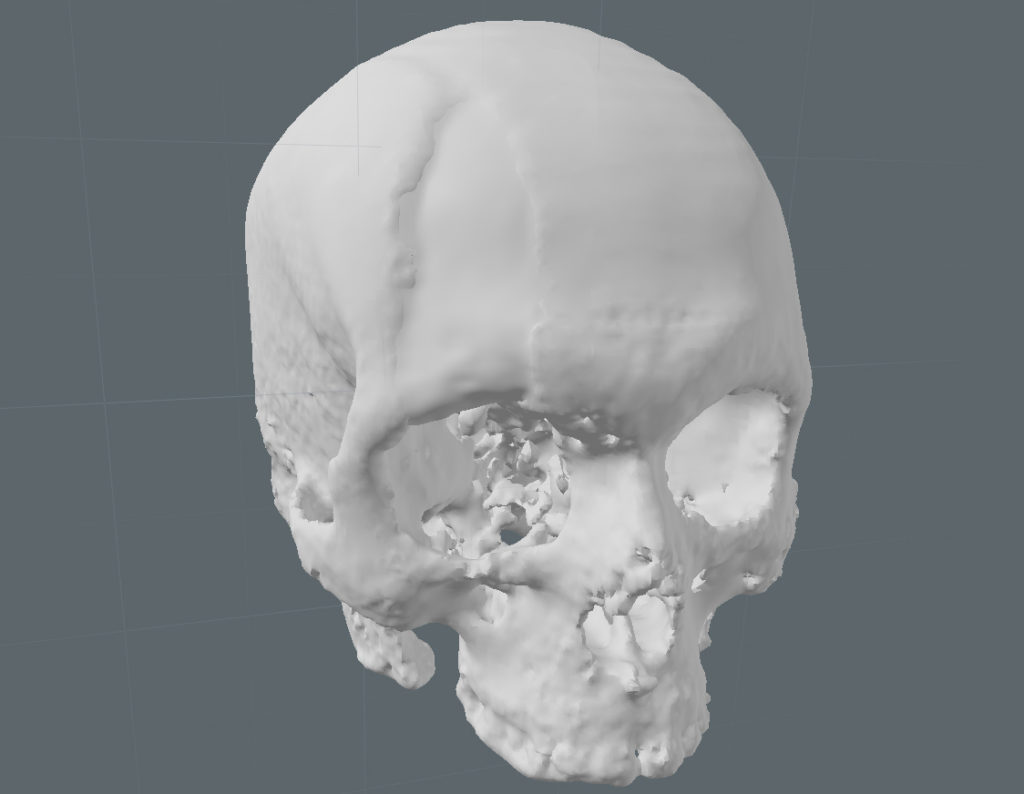 SkullFinal Final outer surface.
