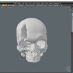 Importing Skull into MODO and centering it.